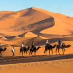 RANDONNÉE CHAMELIÈRE À MERZOUGA